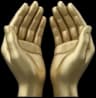 Hands-On