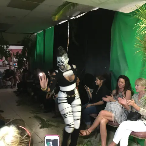 Events & Shows 53
